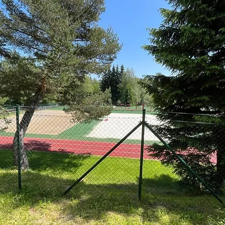 Kovarna * Prasily