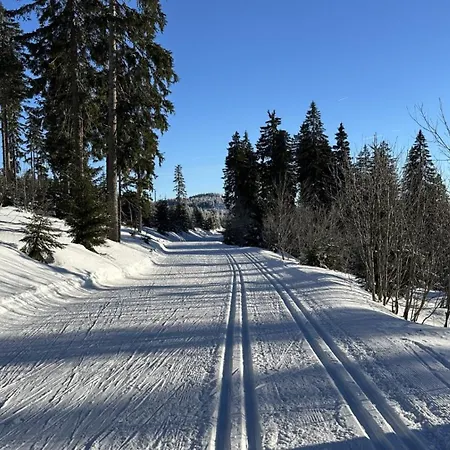 Kovárna Apartmán Prasily