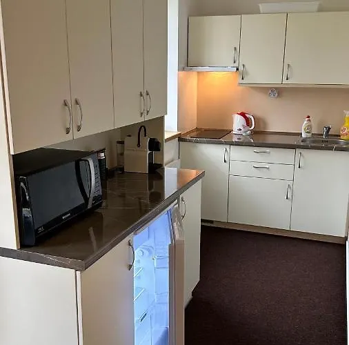 Kovárna Apartmán Prasily