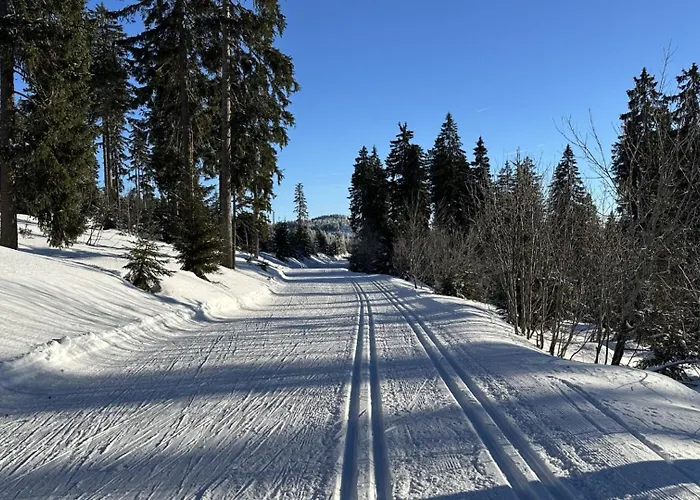 Kovarna Lägenhet Prasily